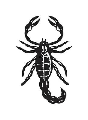 How to Draw a Scorpion - Easy Steps to Create a Realistic Drawing