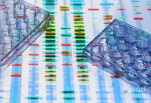 Wall Art - Photograph - Dna Research #53 by Science Photo Library