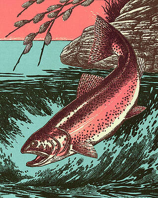 Salmon River Drawings for Sale - Fine Art America