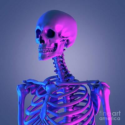 Wall Art - Photograph - Cervical Spine #6 by Science Photo Library