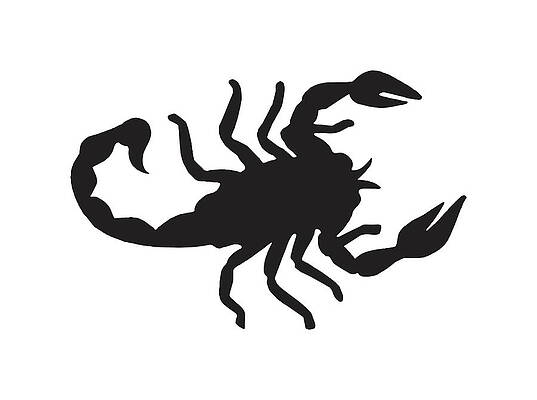 Drawing Scorpion - Drawing Scorpion - Free Transparent PNG Clipart Images  Download