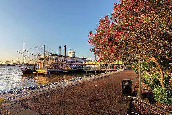 Louisiana Wall Art featuring the digital art Steamboat, New Orleans, Louisiana #6 by Claudia Uripos