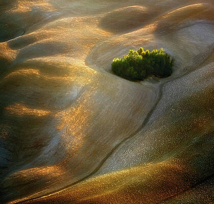 Wall Art - Photograph - Fields... #7 by Krzysztof Browko