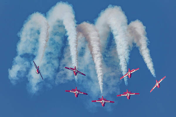 7 Inverted Snowbirds by Donna Corless 7 Inverted Snowbirds by Donna Corless