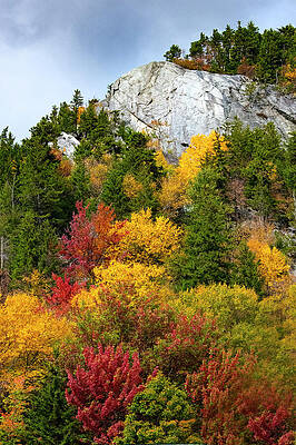 Deer Leap Killington, VT by Susan R Wacker-Donle SRWDesign Studio