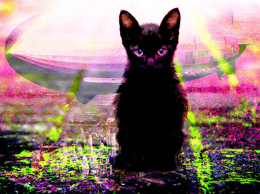Weird Cat Paintings Fine Art America