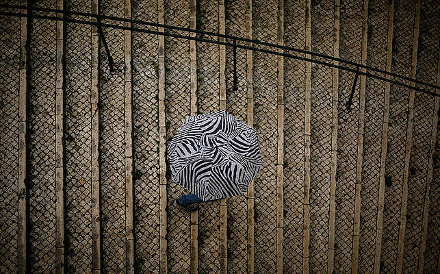 Wall Art - Photograph - A Boy Carries an Umbrella As He Walks by Rafael Marchante