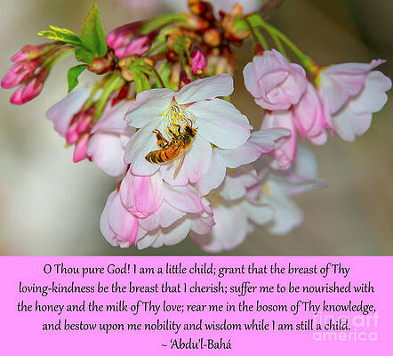 A Little Child Prayer, No. 6 by Baha'i Writings As Art A Little Child Prayer, No. 6 by Baha'i Writings As Art