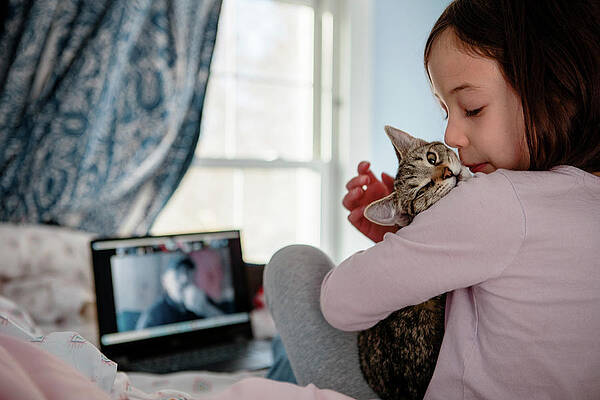 Wall Art - Photograph - A Little Girl Sits On Bed In Front Of Computer Snuggling A Kitten by Cavan Images / Rebecca Tien