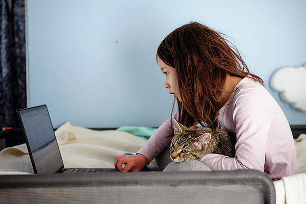 Wall Art - Photograph - A Little Girl Sits On Bed With Cat In Lap Looking At A Computer by Cavan Images / Rebecca Tien