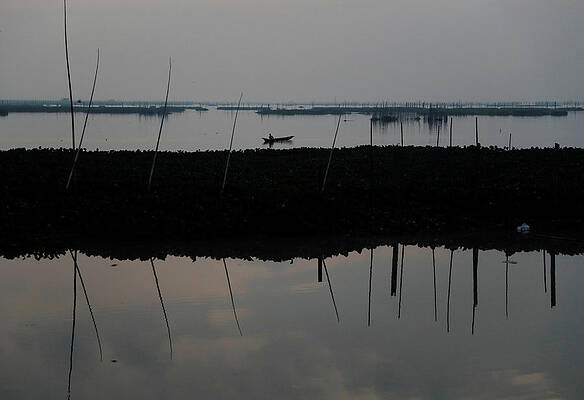 Wall Art - Photograph - A Resident Uses a Net to Fish at Laguna by Erik de Castro