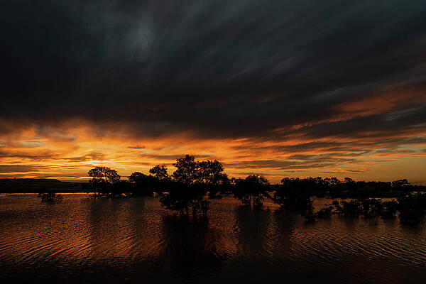Wall Art - Photograph - A Small Lake That Has Formed From Uncommonly High Local by Doug Gimesy / Naturepl.com