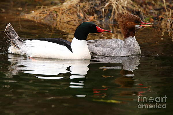 A Spot for You and Me by Tony Lee A Spot for You and Me by Tony Lee