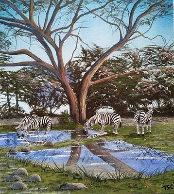 A Zebra Party by Tsc Channa A Zebra Party by Tsc Channa