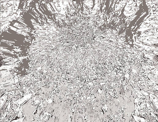  Digital Art - Abstract Digital Circular Gray Scale Pattern from Stump Photo with Effects by Poster Book
