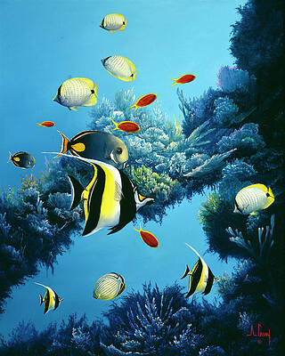 Coral Reef Paintings Fine Art America