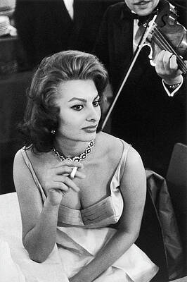 Wall Art - Photograph - Actress Sophia Loren In The 1950s - by Dominique Berretty