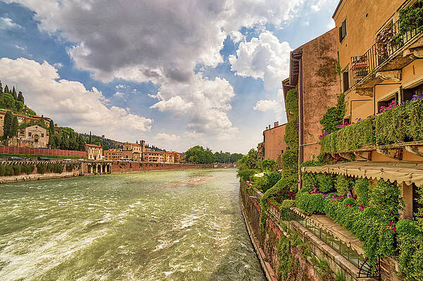 Wall Art - Photograph - Adige river in Verona by Vivida Photo PC