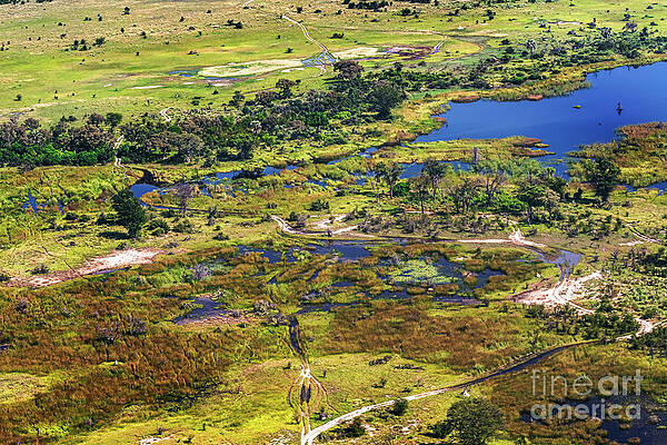 Aerial view at Okavango Delta by Marek Poplawski Aerial view at Okavango Delta by Marek Poplawski