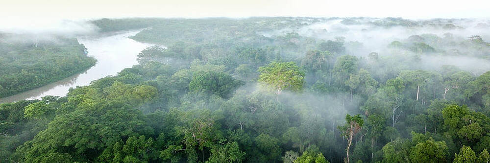 Aerial View Of Lowland Amazonia Rainforest Peru Photograph By Nick Garbutt Naturepl Com