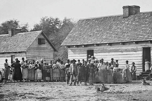 Wall Art - Painting - African American Slaves on a Plantation by Unknown