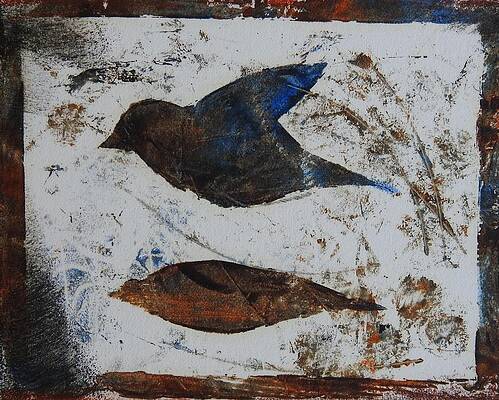 african safari bird by Ilona Petzer african safari bird by Ilona Petzer