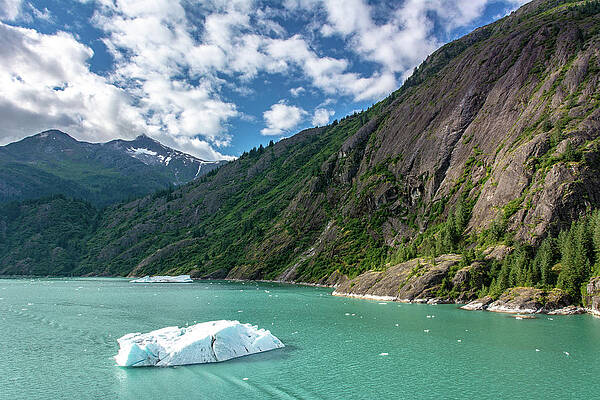 Wall Art featuring the photograph Alaskan Glacial Waters by Douglas Wielfaert