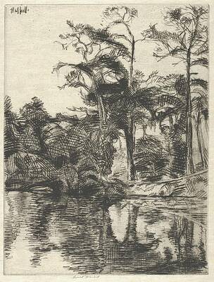 Wall Art - Drawing - Alligator Pool by Ernest Haskell