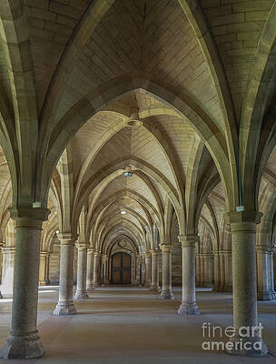 Along the Cloisters by Amy Lyon Smith Along the Cloisters by Amy Lyon Smith