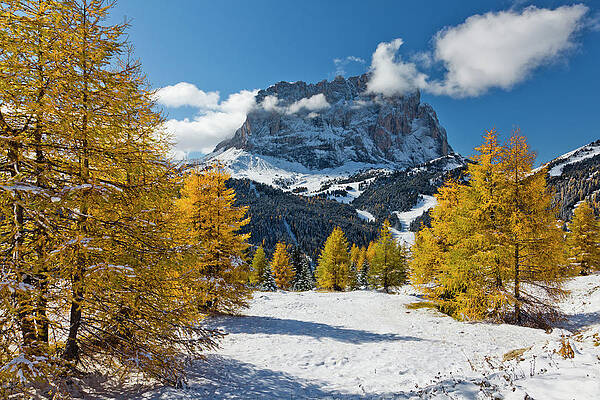 Wall Art - Digital Art - Alps, Passo Gardena, Autumn, Italy by Olimpio Fantuz