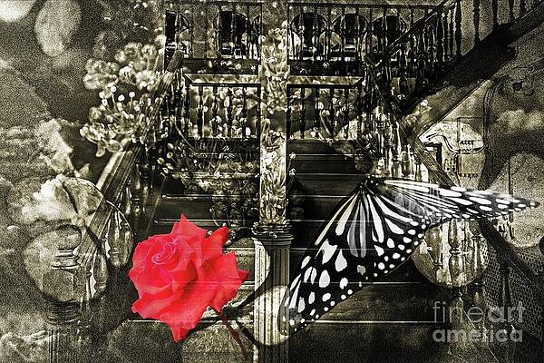 Altered state of consciousness Stairway to the heavens by Fine art photographer JULIE Altered state of consciousness Stairway to the heavens by Fine art photographer JULIE