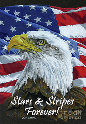 Wall Art - Drawing - American Eagle- Stars And Stripes Forever by Sarah Batalka