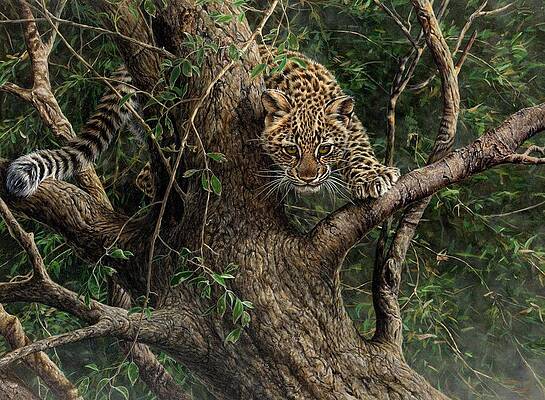 Wall Art - Painting - Amur Leopard Cub Climbing a Tree by Alan M Hunt
