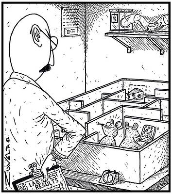 Wall Art - Drawing - An Angry Scientist Has Discovered His Two Lab' Mice by Tony Zuvela