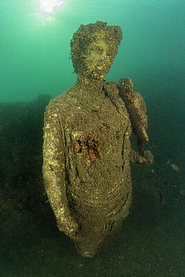 Wall Art - Photograph - Ancient Roman Statue Of Antonia Minor, Naples, Italy by Franco Banfi / Naturepl.com