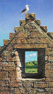 Another Point of View by Lynn Bywaters Another Point of View by Lynn Bywaters