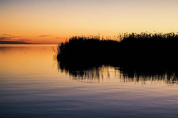 Apalachicola #12 by Eliott James Apalachicola #12 by Eliott James