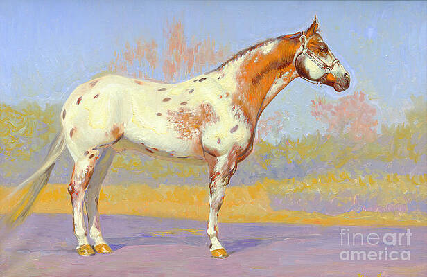 Details about   Original watercolor painting,equine,Appaloosa Horse art burnt orange teal blue 