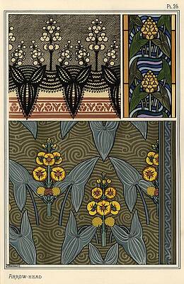 Wall Art - Drawing - Arrowhead, Sagittaria sagittifolia, as a design motif in embroidery, stained glass and fabric pat... by Album