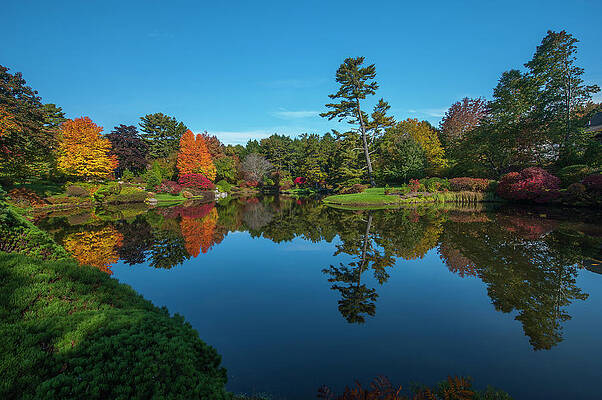 Asticou Reflection by Rick Hartigan Asticou Reflection by Rick Hartigan