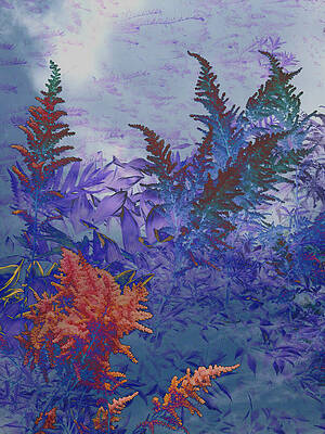 Astilbe Abstract by Michael McBrayer Astilbe Abstract by Michael McBrayer