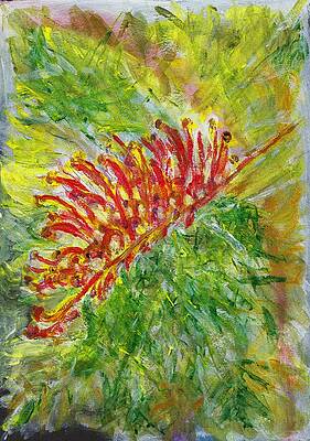 Australian Grevillea by Deryn Van der Tang Australian Grevillea by Deryn Van der Tang