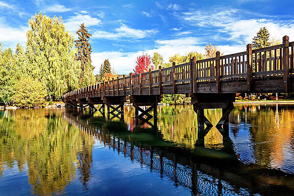 Autumn Wall Decor at Drake Park Bend Oregon by David Millenheft Autumn Wall Decor at Drake Park Bend Oregon by David Millenheft