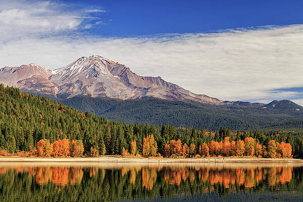 Autumn At Mount Shasta by James Eddy Autumn At Mount Shasta by James Eddy