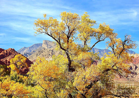 Autumn at Red Rock by Beth Myer Photography Autumn at Red Rock by Beth Myer Photography