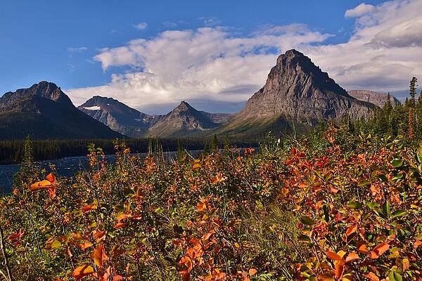 Autumn Daze by Eric Fellegy Autumn Daze by Eric Fellegy