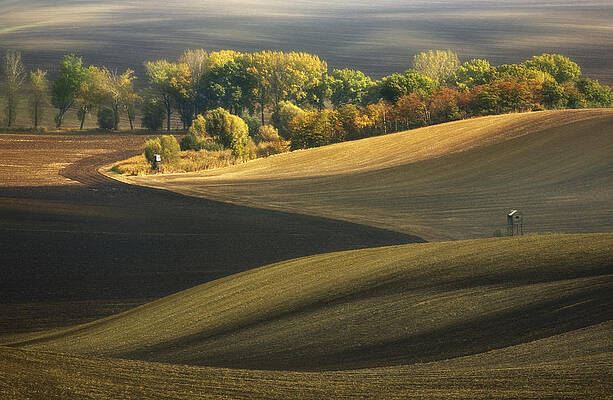 Wall Art - Photograph - Autumn Fields... by Krzysztof Browko