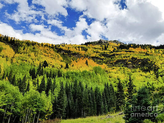 Autumn in Colorado by Elizabeth M Autumn in Colorado by Elizabeth M