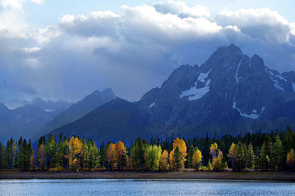 Autumn Lakeshore Tetons by David Chasey Autumn Lakeshore Tetons by David Chasey