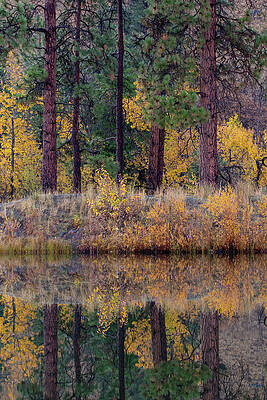 Autumn Reflections by Christopher Nelson Autumn Reflections by Christopher Nelson